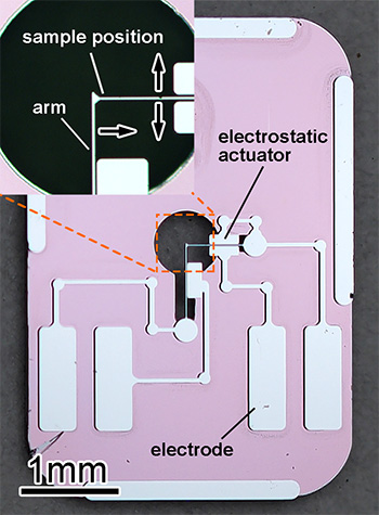 MEMS loading device for TEM.