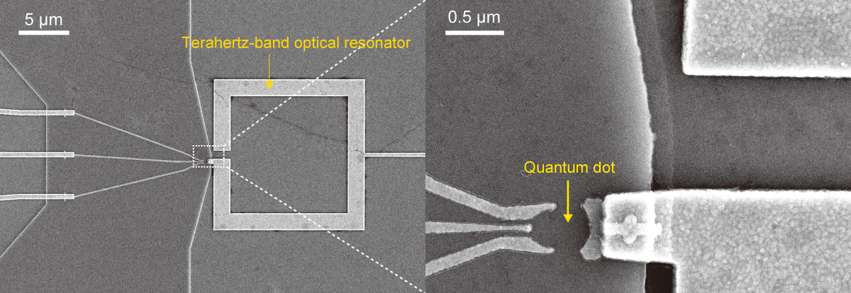 A photograph of a sample in which a quantum dot fabricated on a semiconductor substrate is coupled to a terahertz-band optical resonator. The zoomed-in photo on the right shows where the quantum dot forms between the three electrodes and the resonator.<br />Credit: Kazuyuki Kuroyama Laboratory
