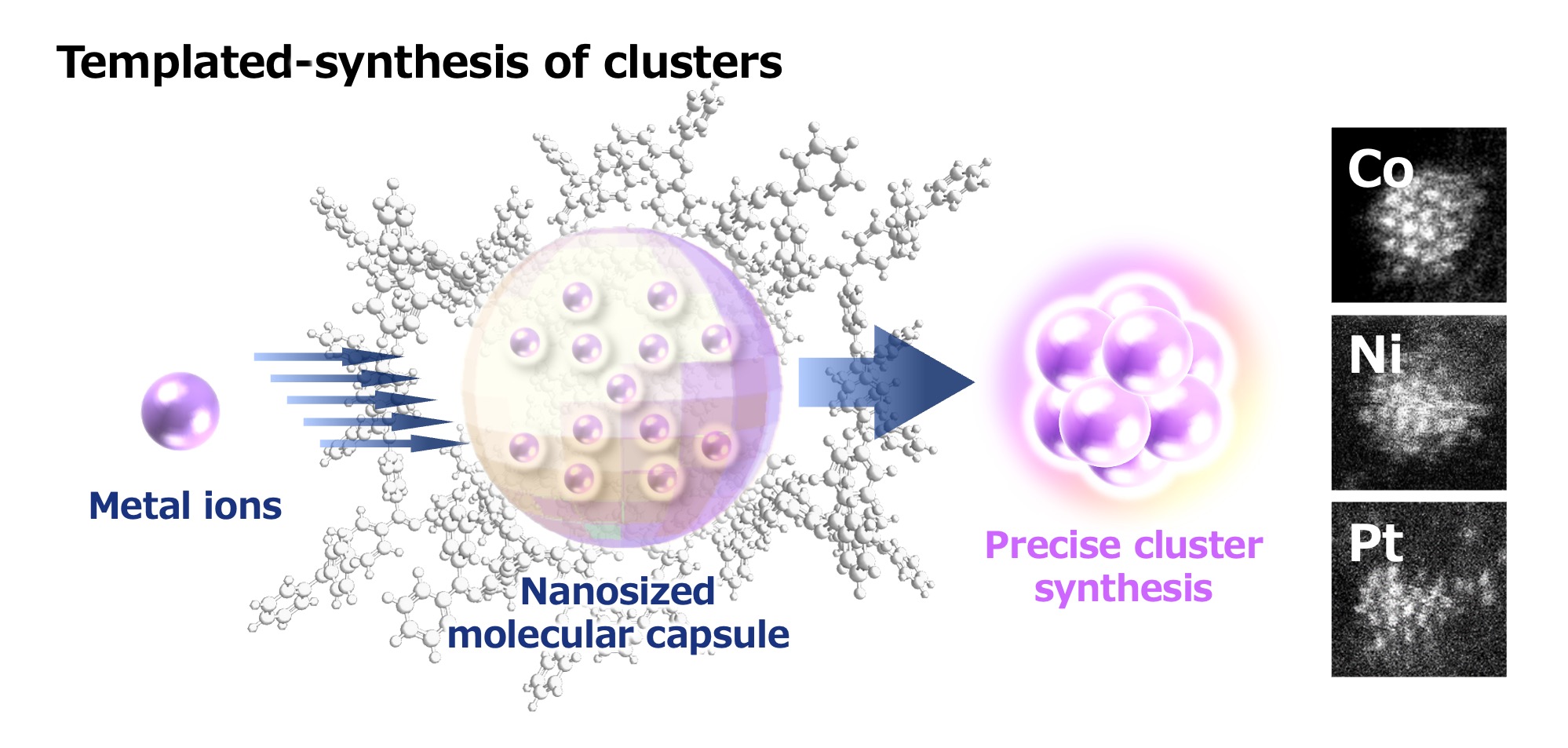 Schematic diagram of the template synthesis method. Metal salts (metal ions) are collected inside a dendritic polymer capsule and then reduced in order to synthesize clusters. Collecting a variety of metal salts also enables the synthesis of multi-element alloy clusters.
Image: Lecturer Tsukamoto Takamasa