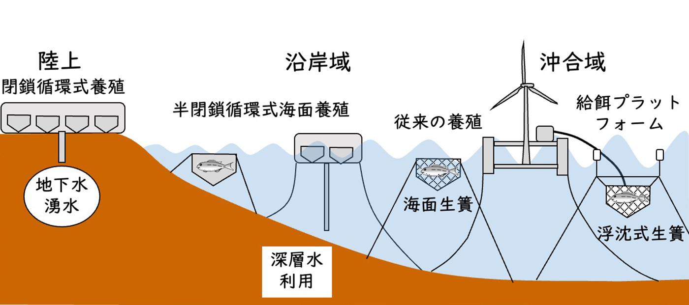 養殖の場と養殖システムの概念図。沿岸域の「半閉鎖循環式海面養殖」がシート状の生簀を利用した養殖。陸上の「閉鎖循環式養殖」は、硬いタンクのような構造物を利用した養殖。提供:北澤 大輔 研究室