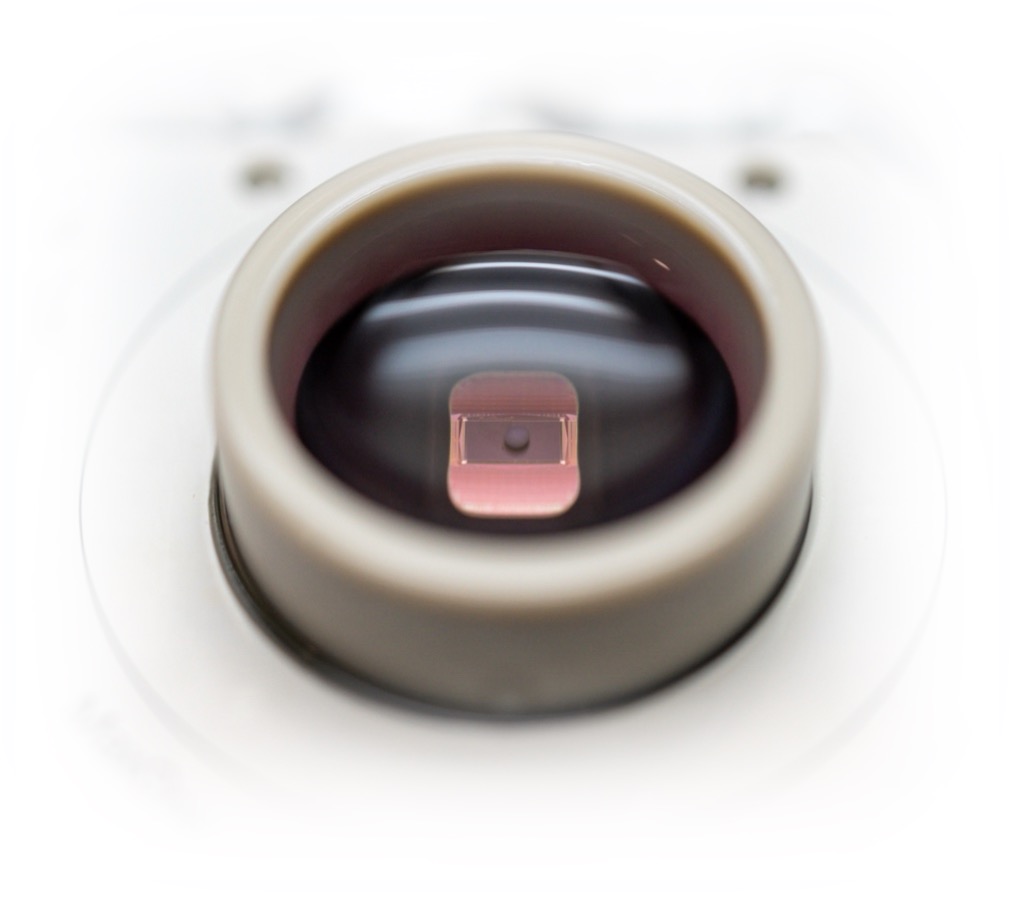 Computer chip that makes use of brain organoidsCredit: Yoshiho Ikeuchi Laboratory (Created by Project Researcher Tomoya Duenki)